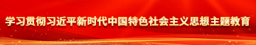 使劲操我啊啊学习贯彻习近平新时代中国特色社会主义思想主题教育