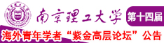 骚屄万人肏视频网南京理工大学第十四届海外青年学者紫金论坛诚邀海内外英才！